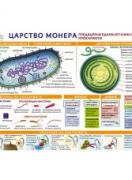 Царство Монера - стенно табло - с лайсни