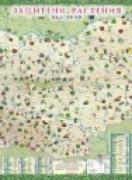 Стенна карта - Защитени растения в България - с лайсни