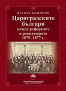 Цариградските българи между реформите и революцията 1875–1877 г.