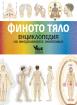 Финото тяло. Енциклопедия на енергийната анатомия