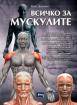 Всичко за мускулите