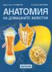 Анатомия на домашните животни
