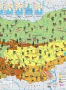 Климат. Води. Растения и животни. България