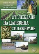 Отглеждане на царевица. Силажиране