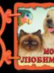Книжка с дръжка : Моите любимци 