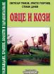 Овце и кози